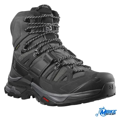 Muška cipela SALOMON Quest 4 GTX Magnet/Black/Quarry