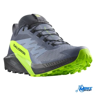 Patike SALOMON Sense Ride 5 GTX Flint Stone/Black/Green Gecko